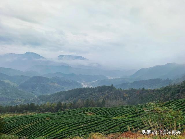 因为大别山，在湖北，这竹山，不仅有竹海，还有梯田