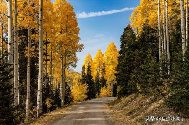 佳能的“标志性套头”——RF 24-105mm f/4L IS USM 镜头评测