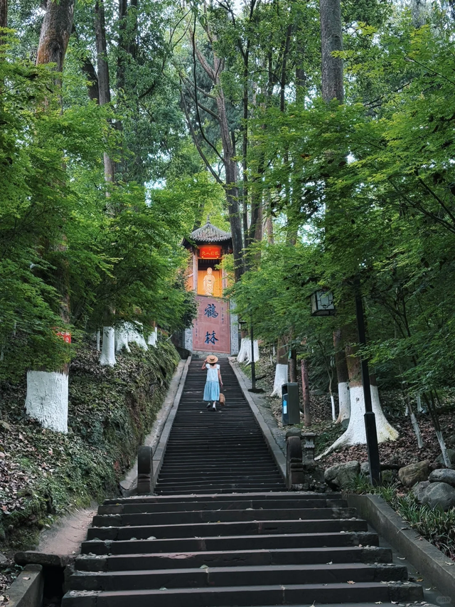邛崃白鹤山千年绿道，成都0.5h直达，玩转古寺禅意+森系秘境！