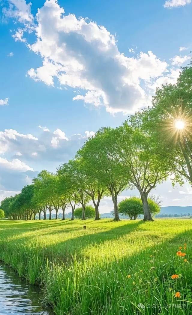 缁胯壊鎶ょ溂澹佺焊缇庡浘