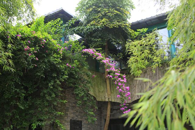 人间烟火气，最抚凡人心之平乐古镇（原创）