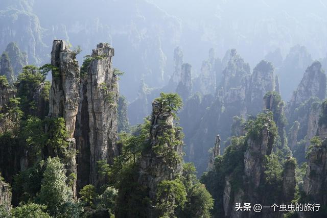 杨家界千米悬崖上的天空之路，揭秘杨家界“天然雕塑群”