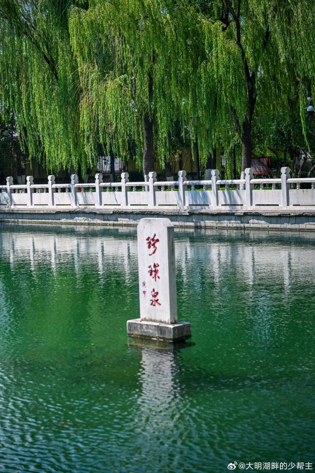 济南私藏“珍珠秘境”，景美免费！像闯进童话世界~