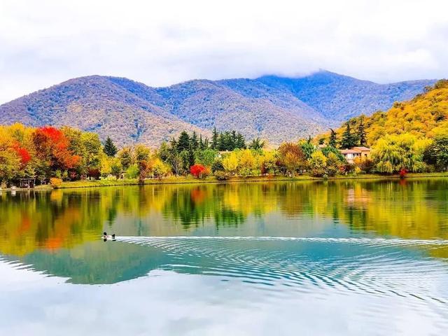 秋天的色彩，染在树上，也映在了水里