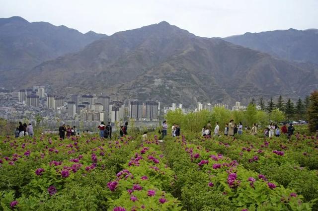 武都，“热”力全开🥰🥰