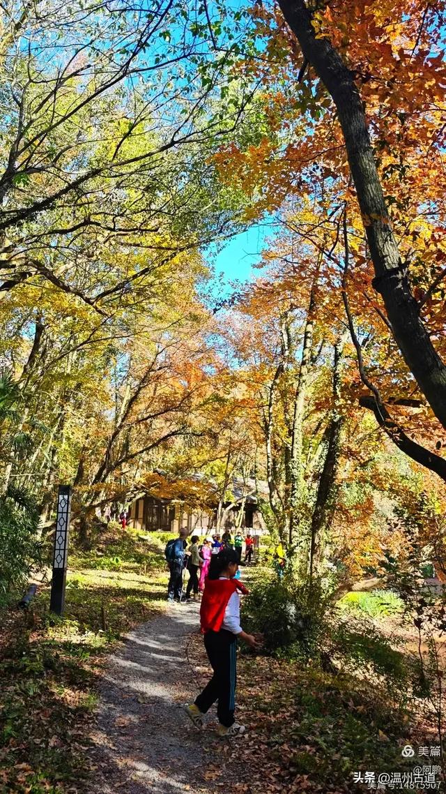 秋染浙西，邂逅烂柯仙境的绝美风光！