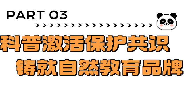 海野热带大熊猫兄弟十二周岁生日庆典暨第七届海野国际熊猫粉丝节盛大启幕！