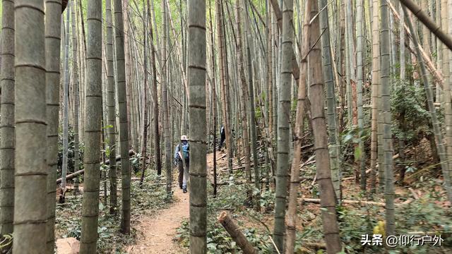 河源黄牛石象鼻石徒步穿越