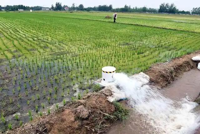 全球淡水告急！多国母亲河濒临干涸危机，“地球之眼”正在消逝