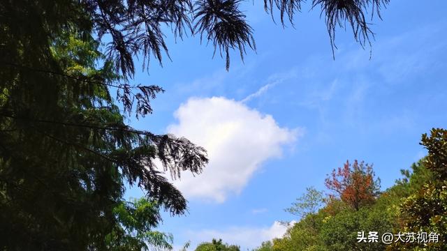 南京私藏的秋日秘境！溧水无想山的秋，才是真·金陵浪漫