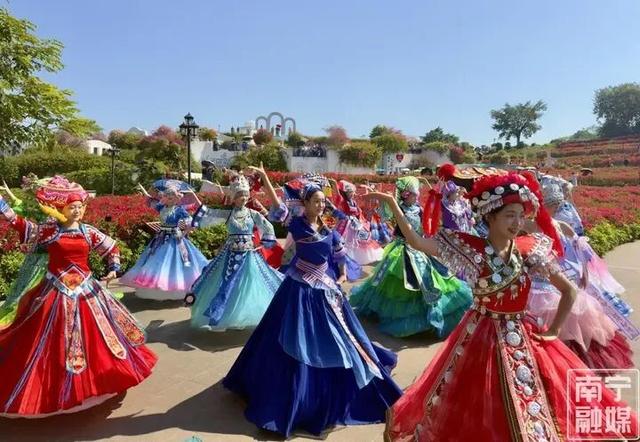 冬季赏花，青秀山和你浪漫相约