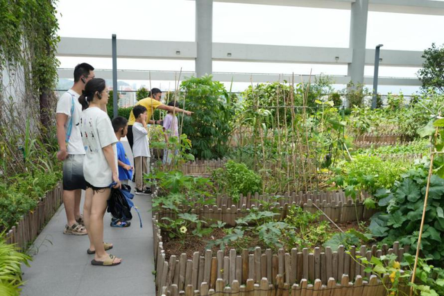 节能增效，焕“新”引领 | 市民群众零距离体验科技建筑新标杆