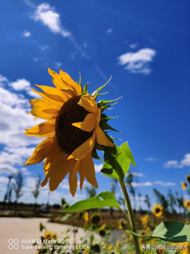 据我实际体验，冬天不宜自驾游