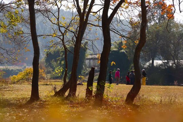 锦屏雷屯：山河冬色醉人意