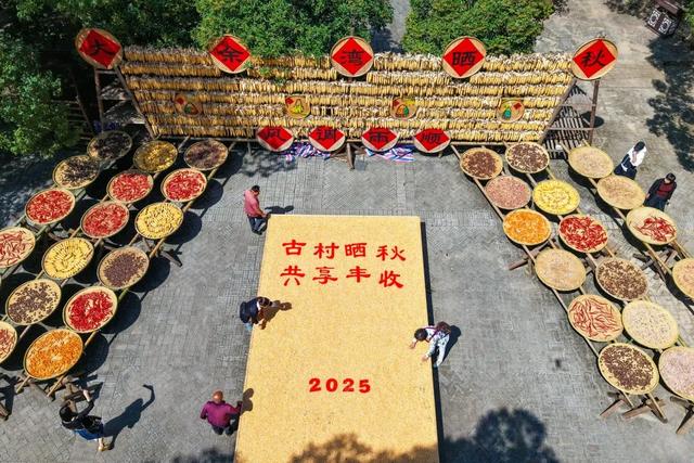 黄陂这些点位出片率绝了！