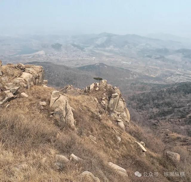 不收门票！临沂一景区火了，比收费的还值得去！