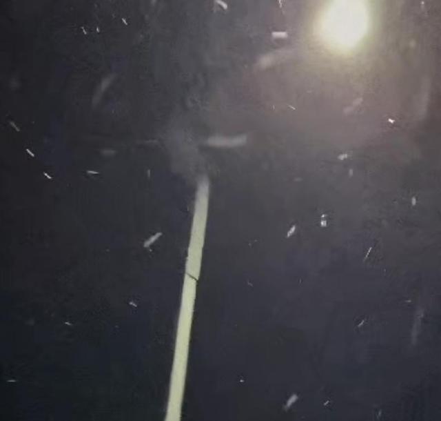 北京下雪了！忽然觉得：冬天，真的要来了！
