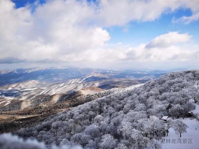 央视都来打卡！龙湾四方顶的玉树琼花，美成冰雪天花板