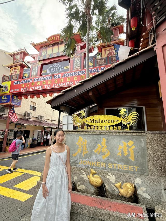 2025暑假 马来西亚新加坡暑期游（一）