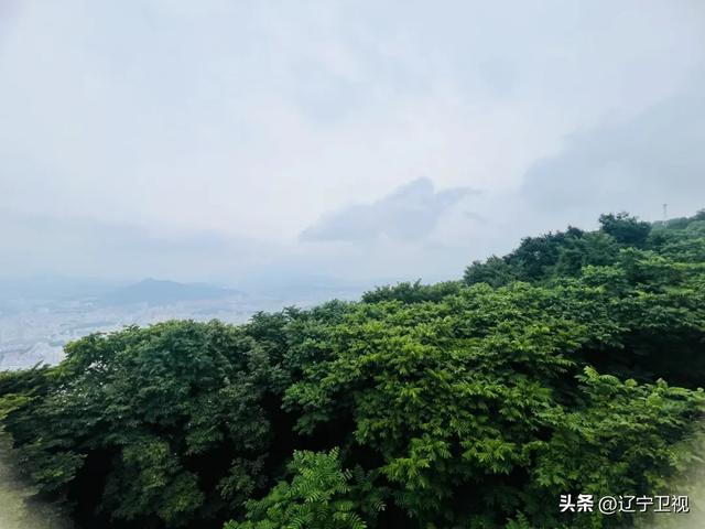 夏日限定！辽宁本溪避暑路线推荐，25℃的清凉可太治愈了~（市内版）