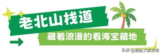 【乐游烟台】八月好去处｜烟台通往大海的木栈道，超赞！附汽水音乐派对交通攻略