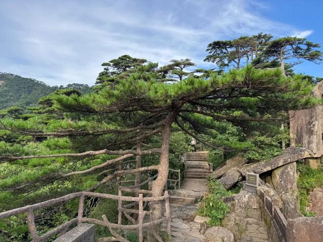 徒步三山五岳：安徽黄山！