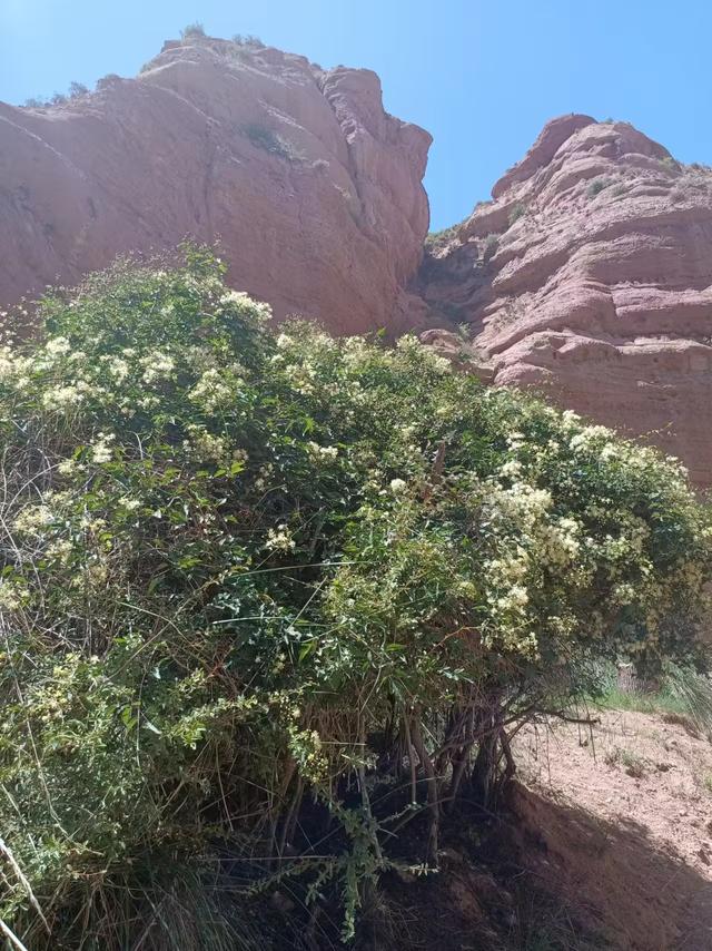 又踏甘肃地之二十一 张掖篇之十九 平山大峡谷（3）