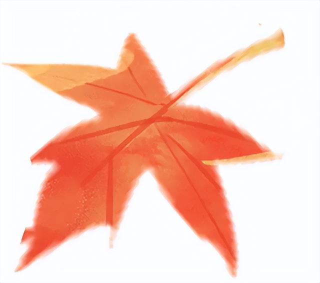 红了！红了！你最想和谁一起去？