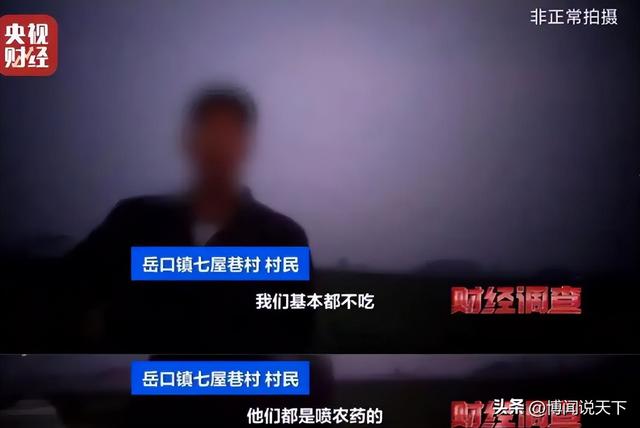 央视曝光毒红薯！商户主动投毒	，流窜至全国多地，背后利益链曝光