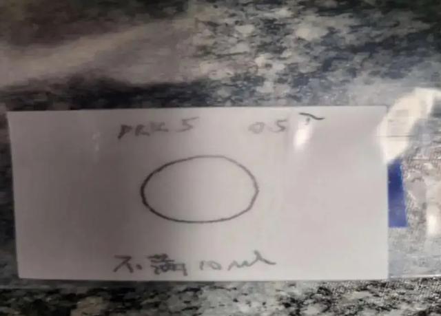 武汉女博士生刑满后将被遣返中国，登机前三天删除手机所有内容