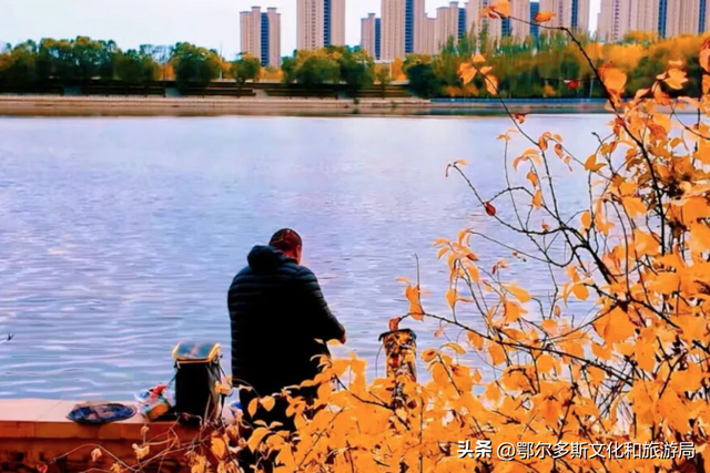 东胜区秋日私语——抓住金色的尾巴