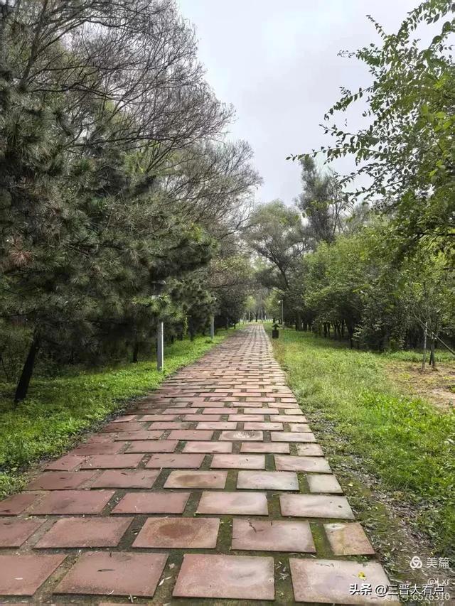 秋雨绵绵漳泽湖
