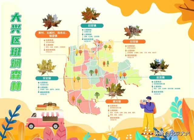 【秋高气爽】21处精选点位！大兴区“赏秋地图”你们收好