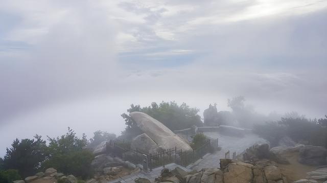 天下泰山·岱宗万象丨夏韵泰山 云海织梦