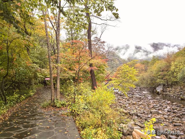 2025辽宁赏秋之旅日记(2)——游览丹东蒲石河森林公园