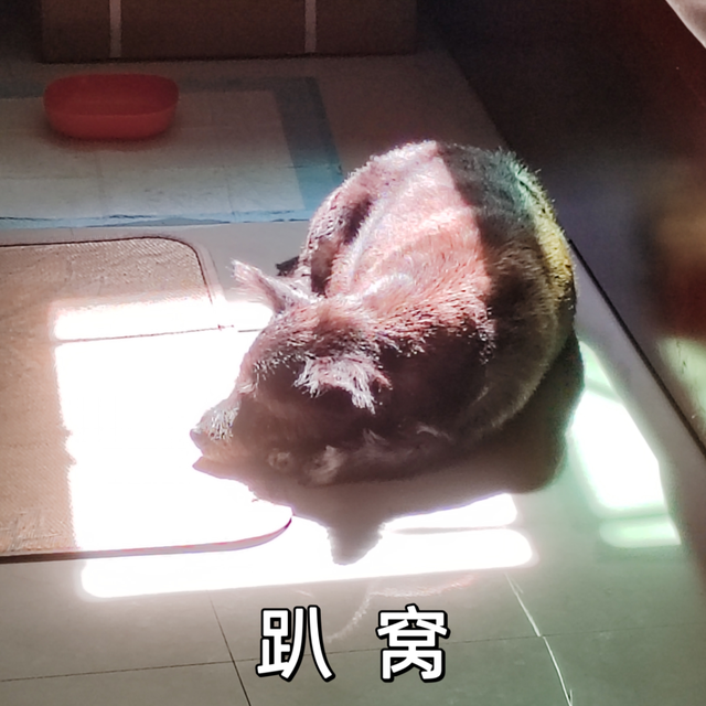 超35℃！台风“麦德姆”最新路径公布！未来几天，厦门......