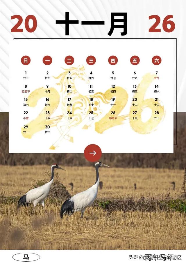 【黄河口生态旅游区】2026新春马年日历来袭啦!