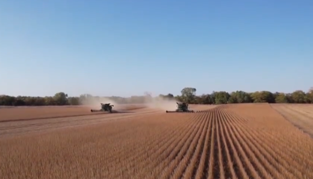 美国对华大豆出口断崖式下滑，孙玉良：美国农民呼唤中美关系稳定