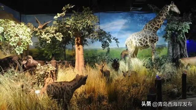 小票根大实惠！冬游西海岸好玩不贵！