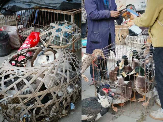 又挖到一座冷门宝藏小城，这次真给我玩嗨了