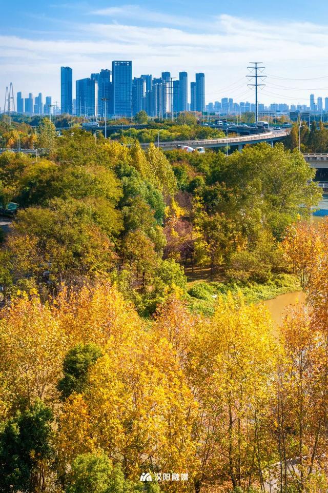 限时绝美！汉阳全城颜值巅峰，零换乘直达