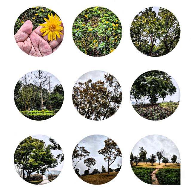 【井研行】天地画印研溪湿地