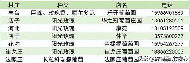 开炫！西海岸秋日“萄”宝指南来啦→