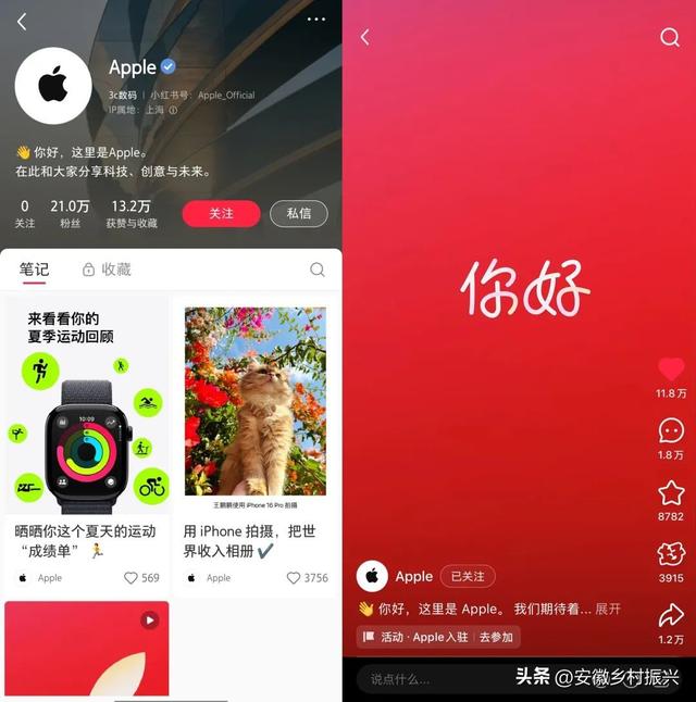 入驻小红书，苹果这次赌对了