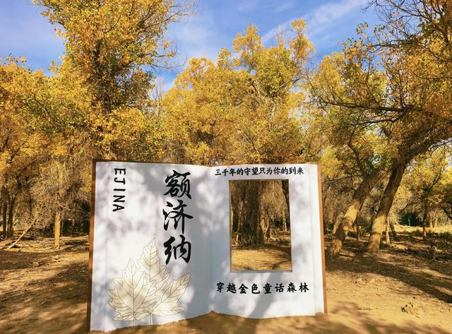 “三千年的守望只为你的到来”额济纳胡杨林：走进金色的童话森林
