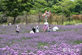 厦门花样上新，超火热！你都玩了吗？图片