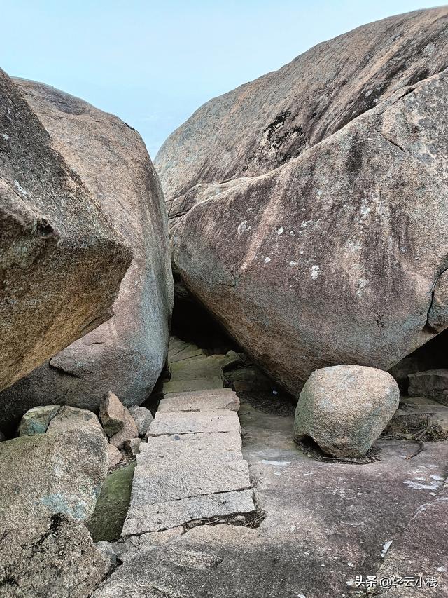 灵山石树感触到的（一）