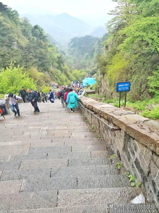 登泰山赏名家石刻，这些石刻都在必经之路上