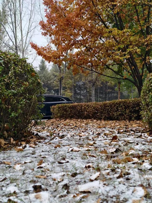 哈尔滨，下雪了！