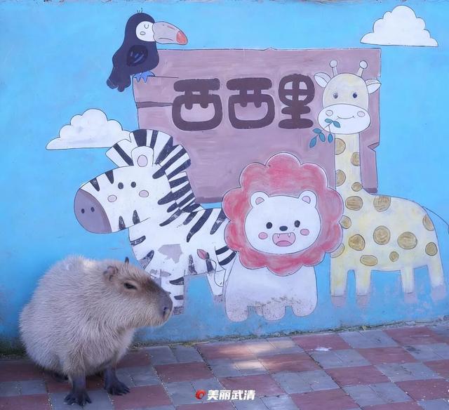 清明小长假，去武清“撒野”！